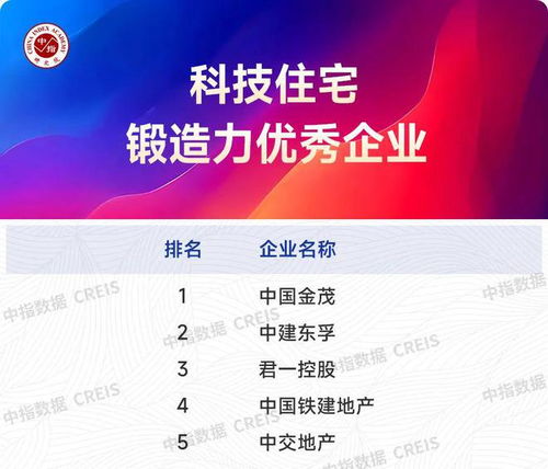 2025上半年主要省市房地產市場地位領先企業(yè)信息技術咨詢服務分析